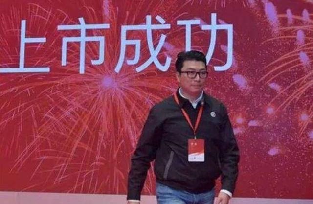 顺丰停运最新动态，深度解析与影响评估