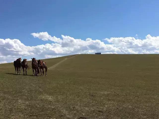 环讯 第1357页