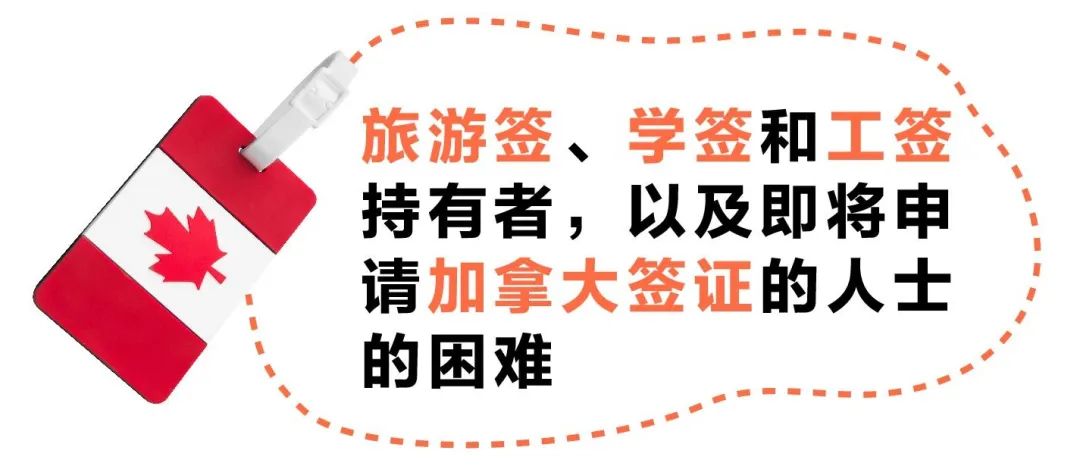疫情最新数据消息省，全面解读与应对策略