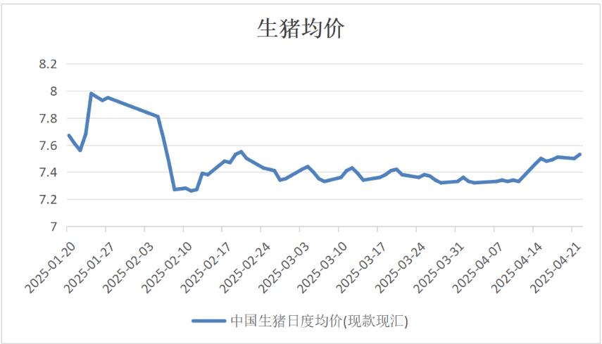 明天猪价最新行情分析