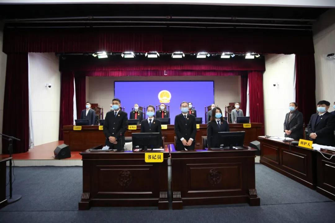 全国最新涉黑案件的深度解析