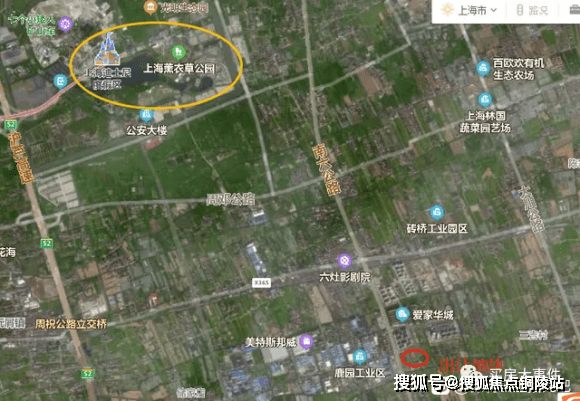 任安利最新情况深度解析