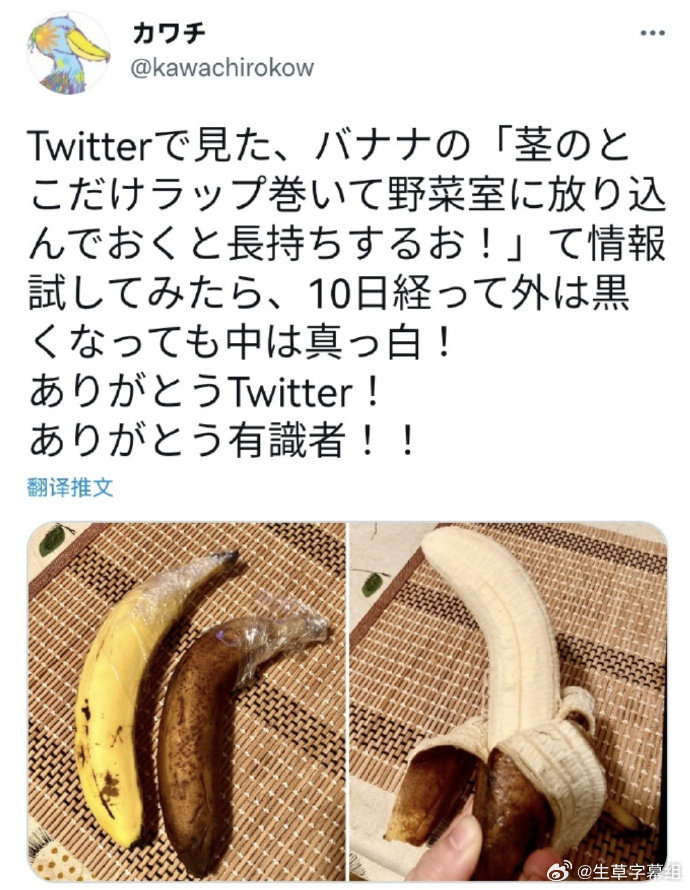 最新版大香蕉，探索其独特魅力与影响