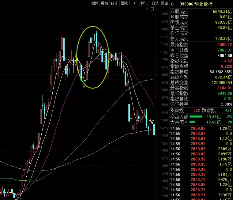 网红最新版，现象、影响与趋势分析
