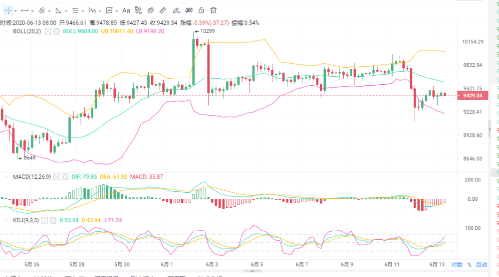今日上午金乡最新行情分析