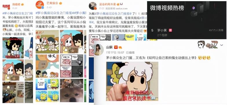 好策最新版，引领策略思维，开启智慧之门
