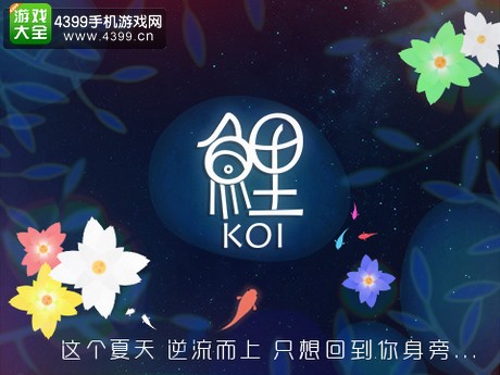 鲤最新版下载，探索与应用体验