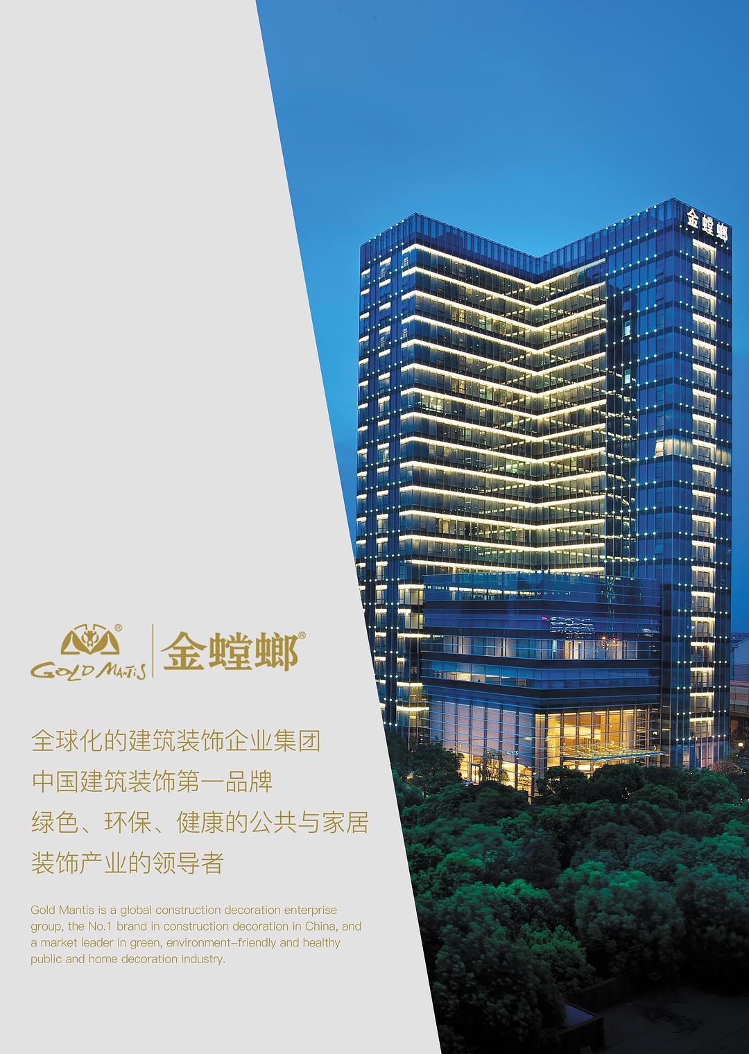 金螳螂最新项目，探索与创新的融合之旅
